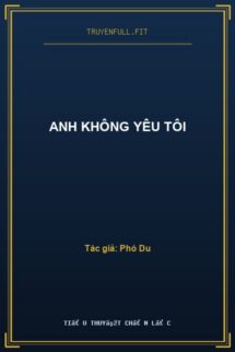 Anh Không Yêu Tôi