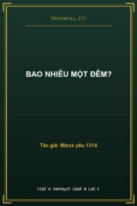 Bao Nhiêu Một Đêm?