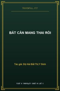Bất Cẩn Mang Thai Rồi