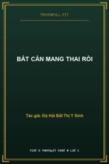 Bất Cẩn Mang Thai Rồi