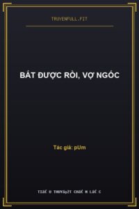 Bắt Được Rồi, Vợ Ngốc