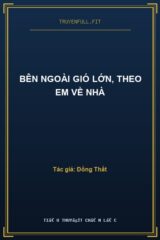 Bên Ngoài Gió Lớn, Theo Em Về Nhà