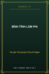 Bình Tĩnh Làm Phi