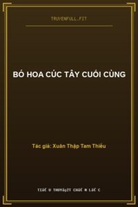 Bó Hoa Cúc Tây Cuối Cùng