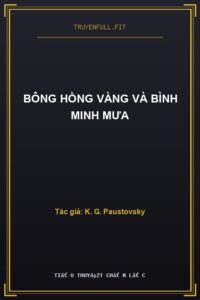 Bông Hồng Vàng Và Bình Minh Mưa