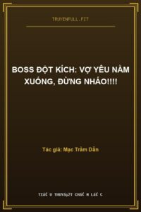 Boss Đột Kích: Vợ Yêu Nằm Xuống, Đừng Nháo!!!!