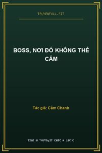 Boss, Nơi Đó Không Thể Cắm