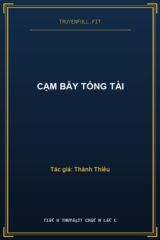 Cạm Bẫy Tổng Tài