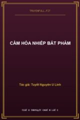 Cầm Hóa Nhiếp Bất Phàm