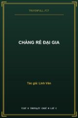 Chàng Rể Đại Gia