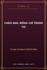 Chào Anh, Đồng Chí Trung Tá!