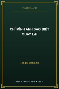 Chỉ Mình Anh Sao Biết Quay Lại