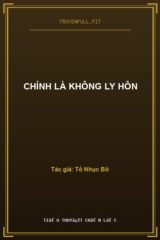 Chính Là Không Ly Hôn