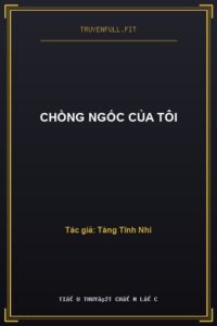 Chồng Ngốc Của Tôi