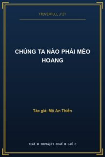 Chúng Ta Nào Phải Mèo Hoang