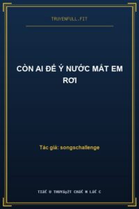 Còn Ai Để Ý Nước Mắt Em Rơi