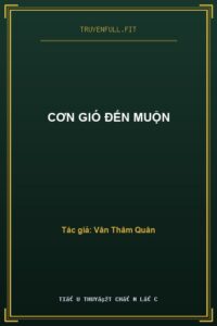 Cơn Gió Đến Muộn