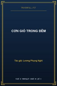 Cơn Gió Trong Đêm