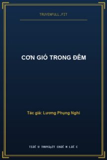 Cơn Gió Trong Đêm