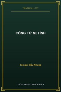 Công Tử Mị Tình