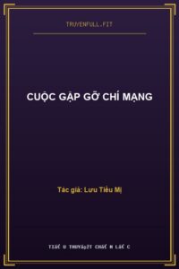 Cuộc Gặp Gỡ Chí Mạng