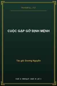 Cuộc Gặp Gỡ Định Mệnh