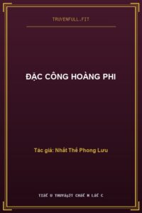 Đặc Công Hoàng Phi