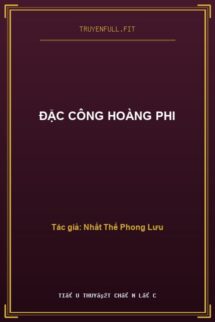 Đặc Công Hoàng Phi
