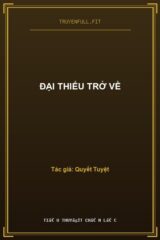 Đại Thiếu Trở Về