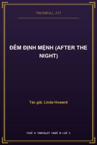 Đêm Định Mệnh (After The Night)