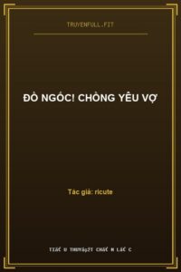 Đồ Ngốc! Chồng Yêu Vợ