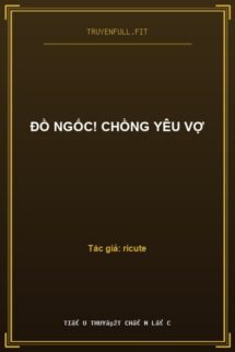 Đồ Ngốc! Chồng Yêu Vợ