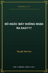 Đồ Ngốc Mày Không Nhận Ra Sao???