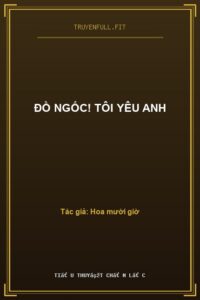 Đồ Ngốc! Tôi Yêu Anh
