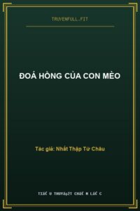 Đoá Hồng Của Con Mèo