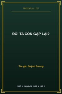 Đôi Ta Còn Gặp Lại?