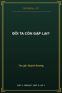 Đôi Ta Còn Gặp Lại?