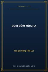 Đom Đóm Mùa Hạ