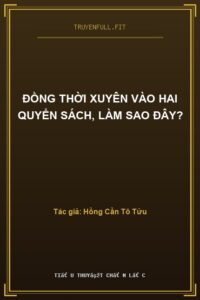 Đồng Thời Xuyên Vào Hai Quyển Sách, Làm Sao Đây?