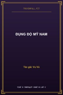 Đụng Độ Mỹ Nam