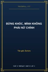 Đừng Khóc, Mình Không Phải Nữ Chính