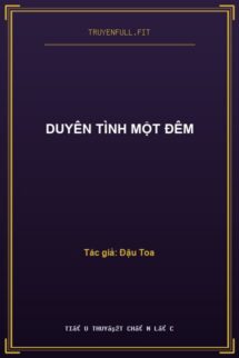 Duyên Tình Một Đêm