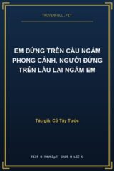 Em Đứng Trên Cầu Ngắm Phong Cảnh, Người Đứng Trên Lầu Lại Ngắm Em