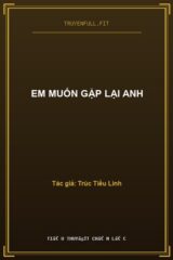 Em Muốn Gặp Lại Anh