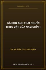 Gả Cho Anh Trai Người Thực Vật Của Nam Chính