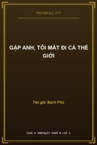 Gặp Anh, Tôi Mất Đi Cả Thế Giới