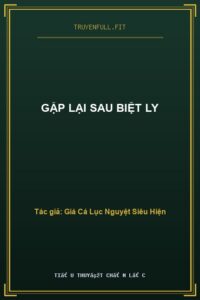 Gặp Lại Sau Biệt Ly