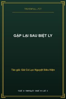 Gặp Lại Sau Biệt Ly