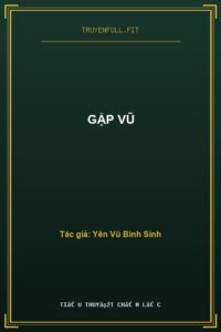 Gặp Vũ