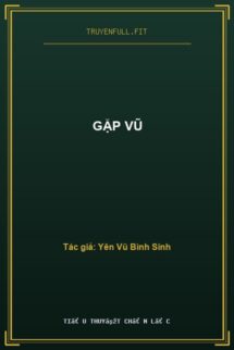 Gặp Vũ
